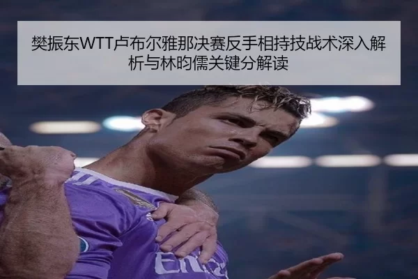 樊振东WTT卢布尔雅那决赛反手相持技战术深入解析与林昀儒关键分解读
