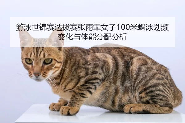 you-yong-shi-jin-sai-xuan-ba-sai-zhang-yu-fei-nv-zi-mi-die-yong-hua-pin-bian-hua-yu-ti-neng-fen-pei-fen-xi-2-831.jpg